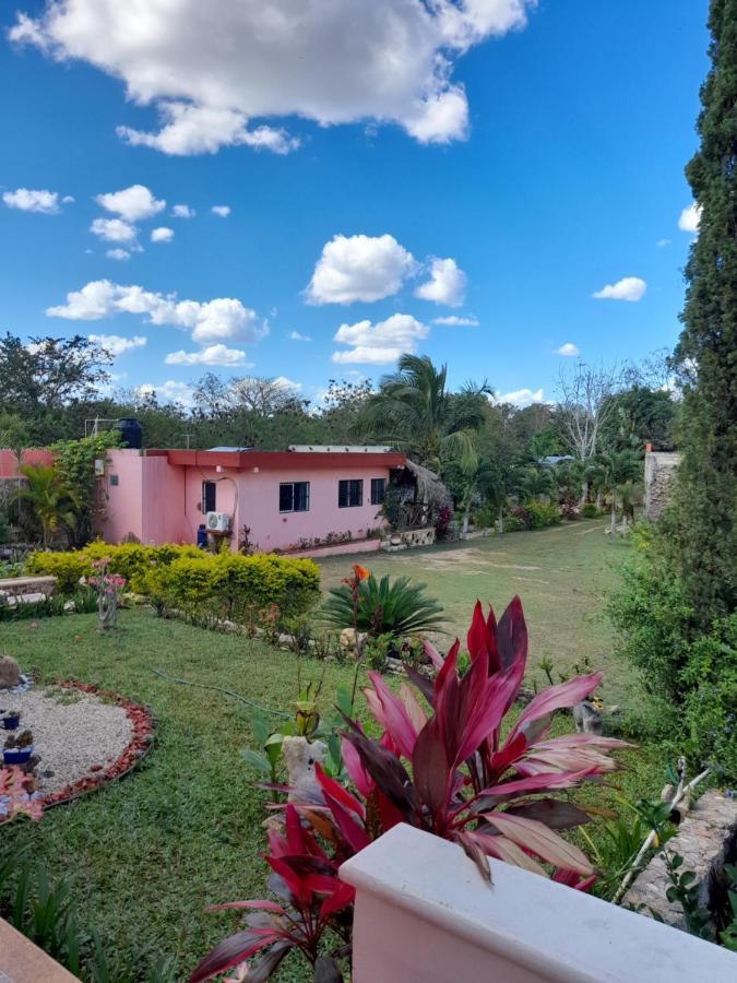 Villa Lirios Valladolid  Exteriör bild